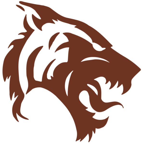 AR5 TIGER 06 RQC Thumbnail